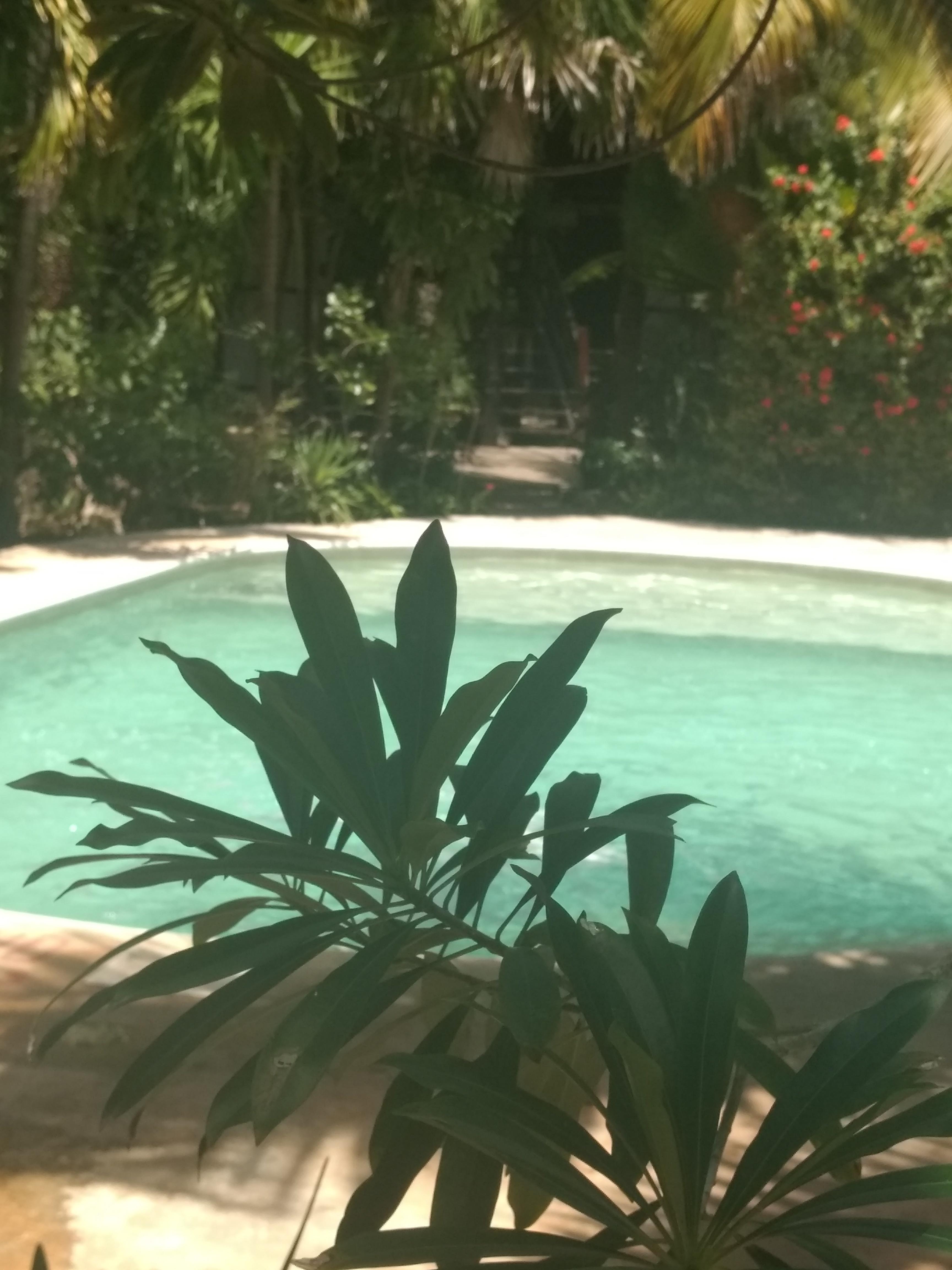 Green Tulum Cabanas & Gardens Екстериор снимка