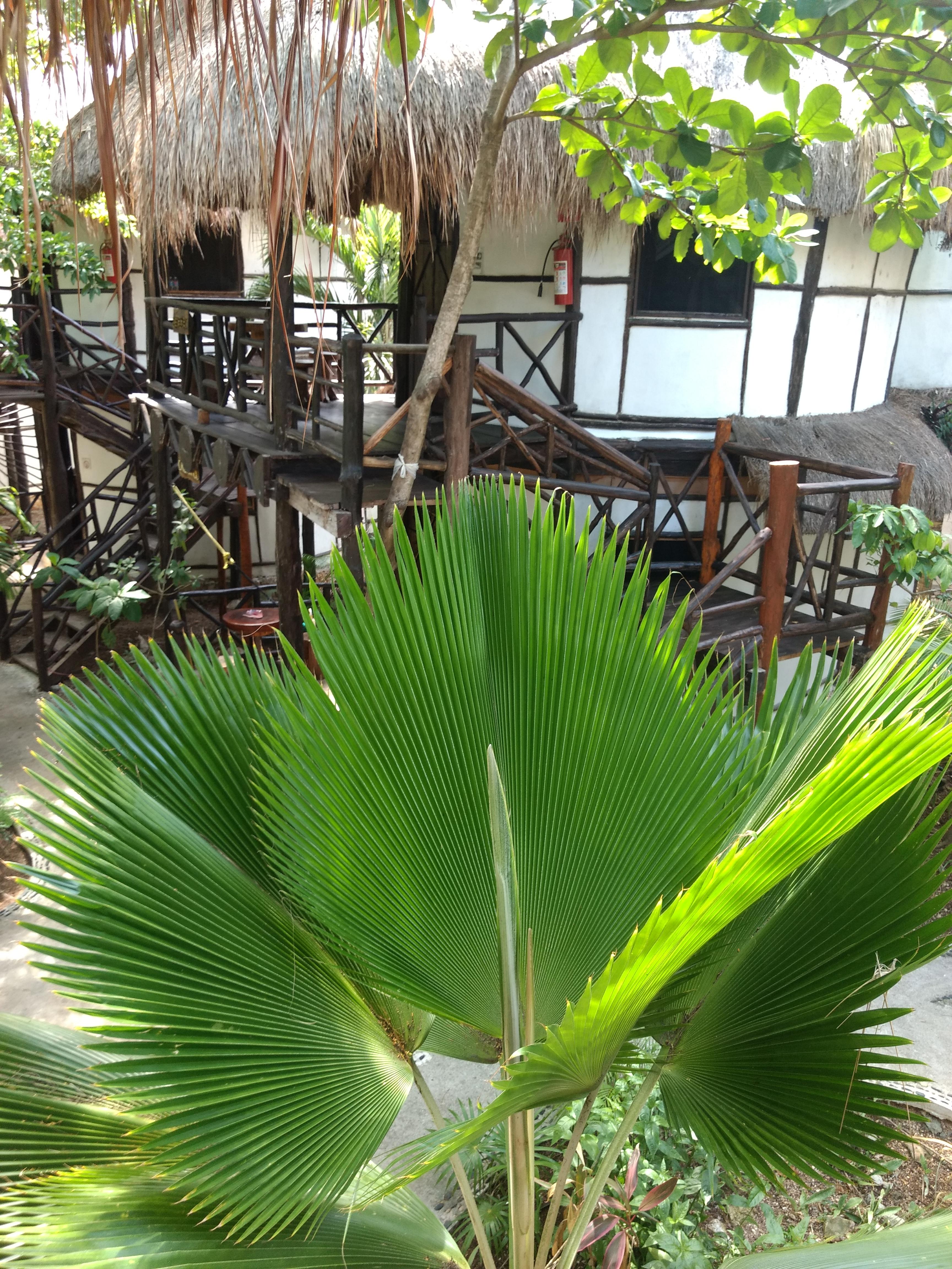 Green Tulum Cabanas & Gardens Екстериор снимка